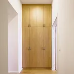 Modern Design With Fast Wi-fi * Prague